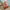46dddd9e-1573-4afb-8b06-1181218a775e-Max-Origin