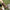 47f93616-ce03-433a-89c1-2c149b3ecf6d-Max
