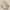 482862ff-f984-4284-8e83-8cd653af322c-Max