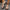 48745fc1-4ed8-4a4b-b4f8-1c32113ad54e-Max-Origin