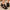 4ae97563b72f4cc39be6420c17cacf8d-Max-Origin