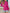 4cfc87f0-3d85-4f88-8725-12c1e7404ca5-Max