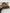 4d81672e-8082-41c9-a344-b86fefa5319e-Max