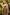 500530ad-7a94-49b0-904a-659c83c188a8-Max