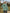 5134b02add424f9a92ade930ddff4810-Max