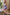 5219c943487f4cec9d67b46a487d2d60-Max-Origin