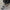 52f3052c7c234ba5bd306f3964ac86b1-Max-Origin