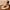 540f9f06-0aac-4079-b3d9-9af577b5a219-Max