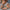 5479b83c-3d94-4006-ad45-7c9f04938e60-Max