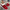 55dfc123-aea5-4f43-92ac-1078752c16b8-Max-Origin