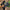 567db775-61aa-483f-bbb7-f0fdfddb0999-Max