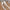 568bb435-f42a-4f0c-8563-d2c98e3f7f90-Max-Origin