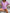 56eb2e76d50042b18510846c428fc4da-Max-Origin