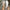 57250063350044d8a7aacaa5e36b1d15-Max-Origin