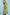 Umgee Tropical Floral Flutter Sleeve Swing Dress