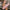 58870a0e77f74a17b4704085186f83da-Max-Origin