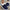 58cfc6a3-8106-45c0-b00b-50b6411e8358-Max-Origin