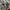 591c6f5a-b023-4542-bcf4-56443951b268-Max