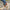 59de61b6-fe76-43ee-9888-eda504067ad0-Max-Origin