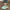 5a171ae27fe5427ab87a3e87341ac0bb-Max-Origin