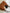 5ada6577-151e-4fc1-a02f-d4f20851f615-Max