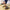 5ae662b9-b678-4583-82a0-1583bb495ccf-Max-Origin