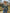 5d2e9e1370574f3ca18a07b965775e98-Max