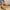 5d5e1c3e-35f9-4531-a3a7-d77dda55d711-Max-Origin