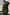 5d6f0643-5da9-4367-aa70-508d4cf70174-Max