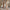 5e1d601f-05f1-40e3-aceb-8a8381476f94-Max-Origin
