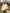 5ef2bc077e6e43d193280d55cda512f0-Max