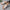 5ef93baffc1a4c4dbb90c158ec4ca736-Max-Origin