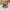 5f85ba58-ad53-4b88-93e7-84dcf6a7b1a8-Max