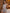 5f9f5f9b14534a3a81756ef7265e3bb9-Max-Origin
