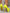 5ff5d18a0ecb4b71b34aa1436e6d9975-Max-Origin