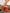 60660531-cbd1-40c5-8f9d-5c0e1138ffd5-Max