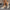 63ed88b4b22b4fafb69b4e4e1239ad6b-Max-Origin