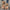 6413e046-a280-453e-b447-dc0a1bcf3542-Max