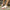 645c97585e3b4f8e9801c3d8d65e34c4-Max-Origin