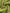 65559176-99f8-40c7-bb6b-16704e66f03e-Max