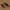 6585776382dc4a6598aa2e71372db6e2-Max-Origin