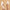 662e0359-42e2-486c-a143-e76961c0b077-Max-Origin
