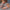 66699886-95bf-46d1-9122-3ed475b4bae8-Max-Origin