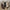 66e7048d-4d67-4819-aefe-67b2e47144a6-Max