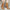 66eb52273e714b5c895f7f76da31908f-Max-Origin