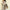 67ef5b80-6822-4b88-b536-b458da7f7a54-Max