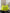 69a24fbf-d545-4d35-b279-1be270ed0e92-Max
