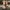 6b0c9687-82d1-4a4b-b6f4-994bbf388645-Max-Origin