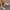 6b162b2fc3cb4da18b8c338dcab84c1d-Max-Origin