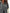 6bf9a6ee-141b-4616-8621-a4d68ae0d230-Max-Origin